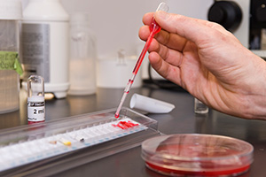 lab_costs